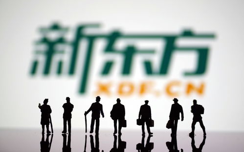 布局文旅再创业 新东方能否再造第二个“东方甄选”？